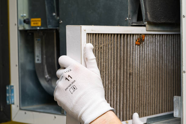 Best Residential Air Duct Cleaning  in Eddyville, IA