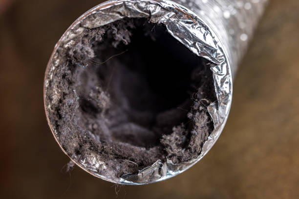 Best Ventilation Cleaning Services  in Eddyville, IA
